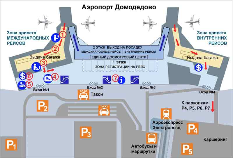 Аэропорт домодедово обмен валюты обмен litecoin на рубли